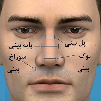 عمل جراحی زیبایی بینی گوشتی 2 fg